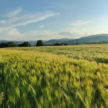 Penzion Holzapfel Sankt Georgen im Attergau
