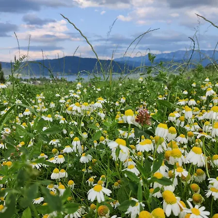 Guest house Holzapfel
