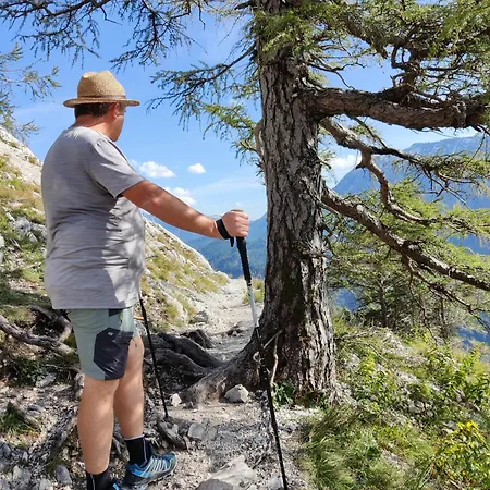 Guest house Holzapfel