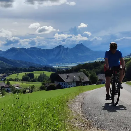 Holzapfel Sankt Georgen im Attergau