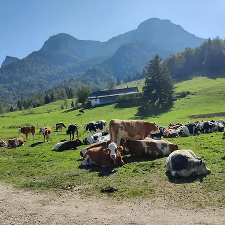 Holzapfel Guest house Sankt Georgen im Attergau