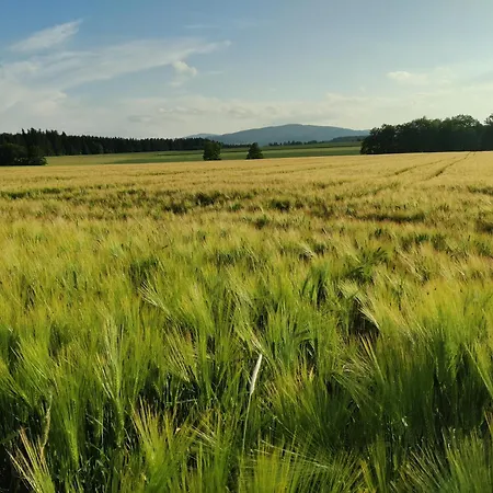 Guest house Holzapfel Sankt Georgen im Attergau