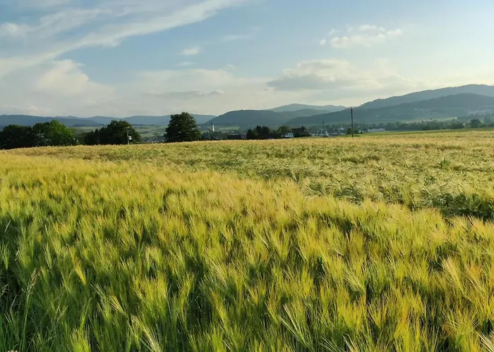 Konukevi Holzapfel Sankt Georgen im Attergau