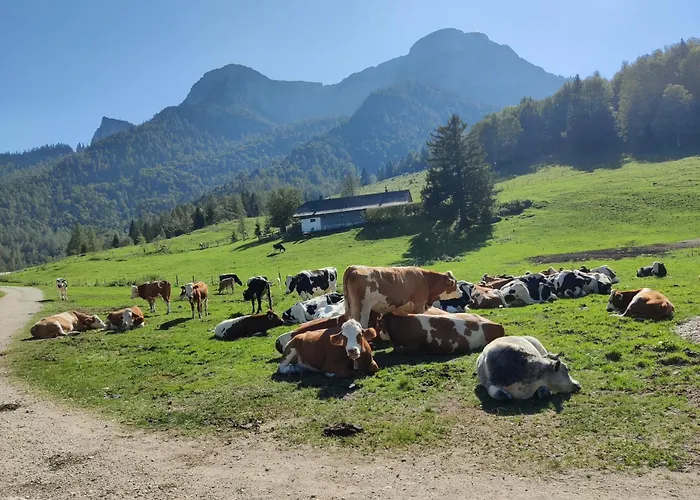 Holzapfel Konukevi Sankt Georgen im Attergau