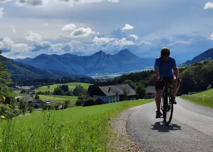 Holzapfel Sankt Georgen im Attergau