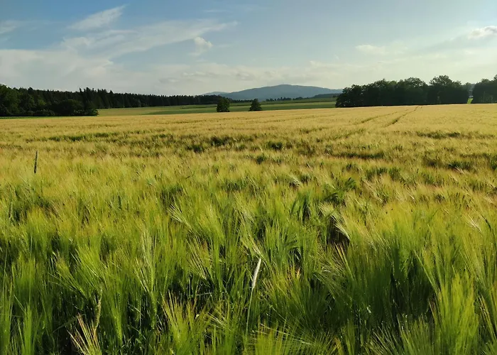 Gasthof Holzapfel Sankt Georgen im Attergau