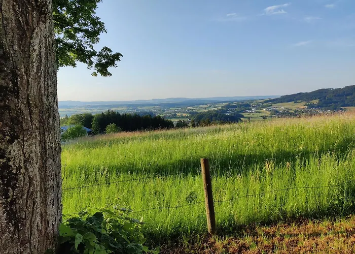 Holzapfel Sankt Georgen im Attergau